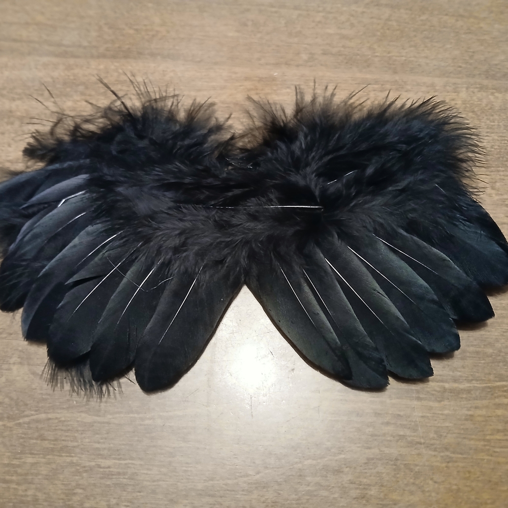 Black Feathered Angel Wings